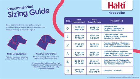 halti dog harness size guide.